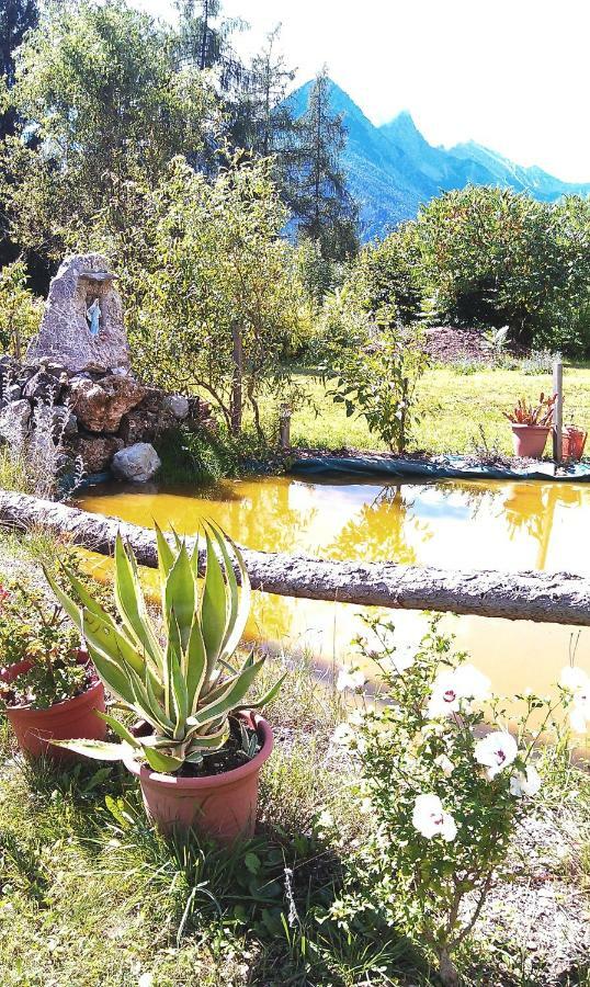 B&B Lo Scoiattolo Nebbiu エクステリア 写真