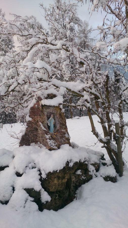 B&B Lo Scoiattolo Nebbiu エクステリア 写真
