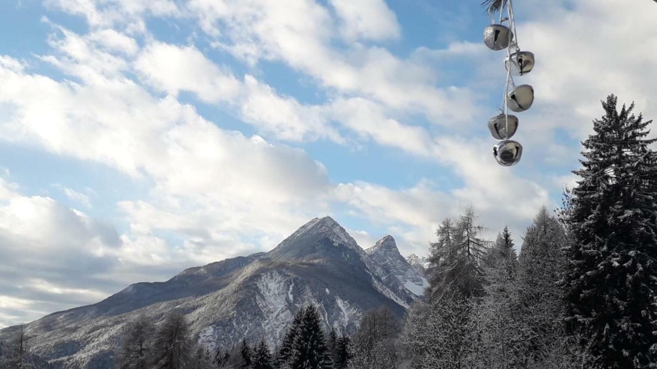 B&B Lo Scoiattolo Nebbiu エクステリア 写真